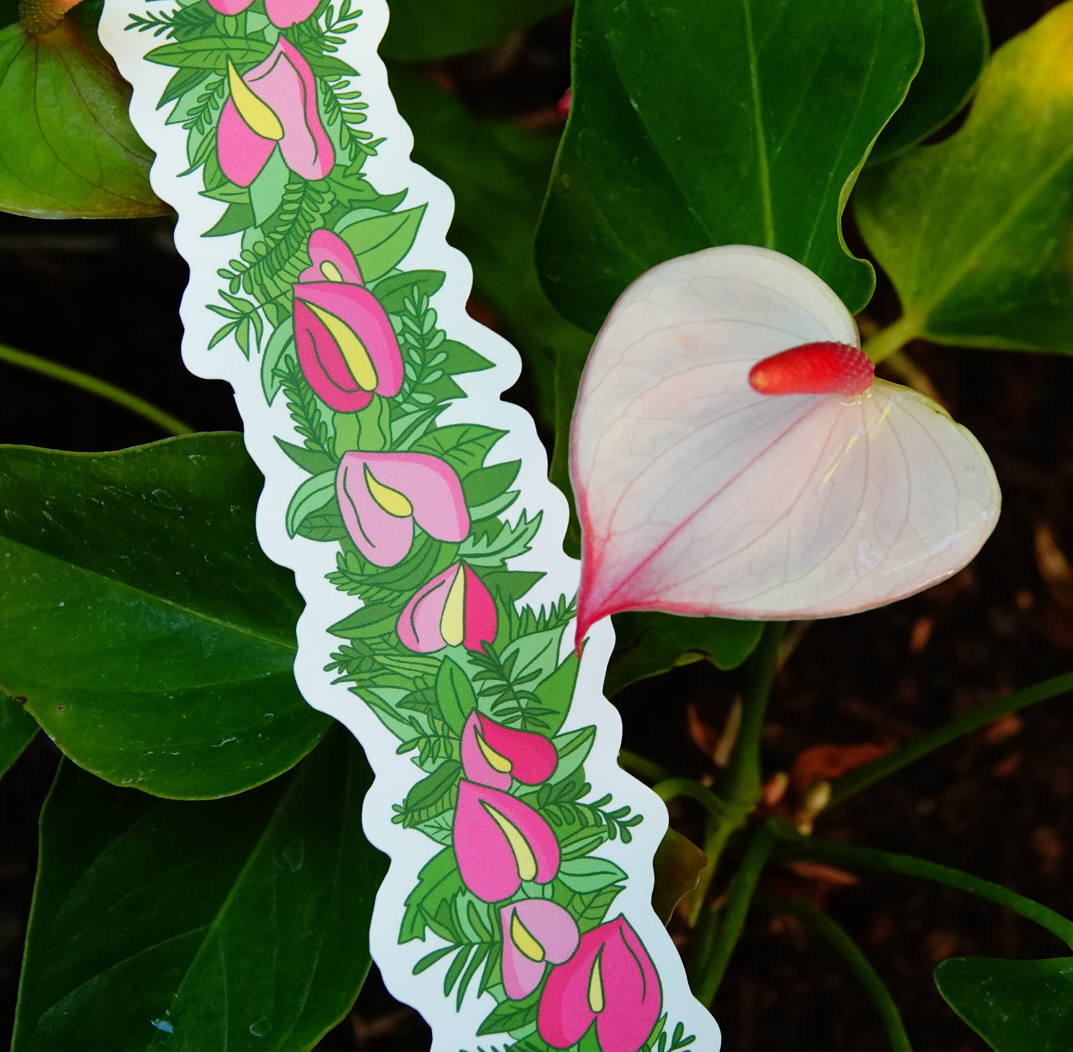 Anthurium Lei Po'o Sticker