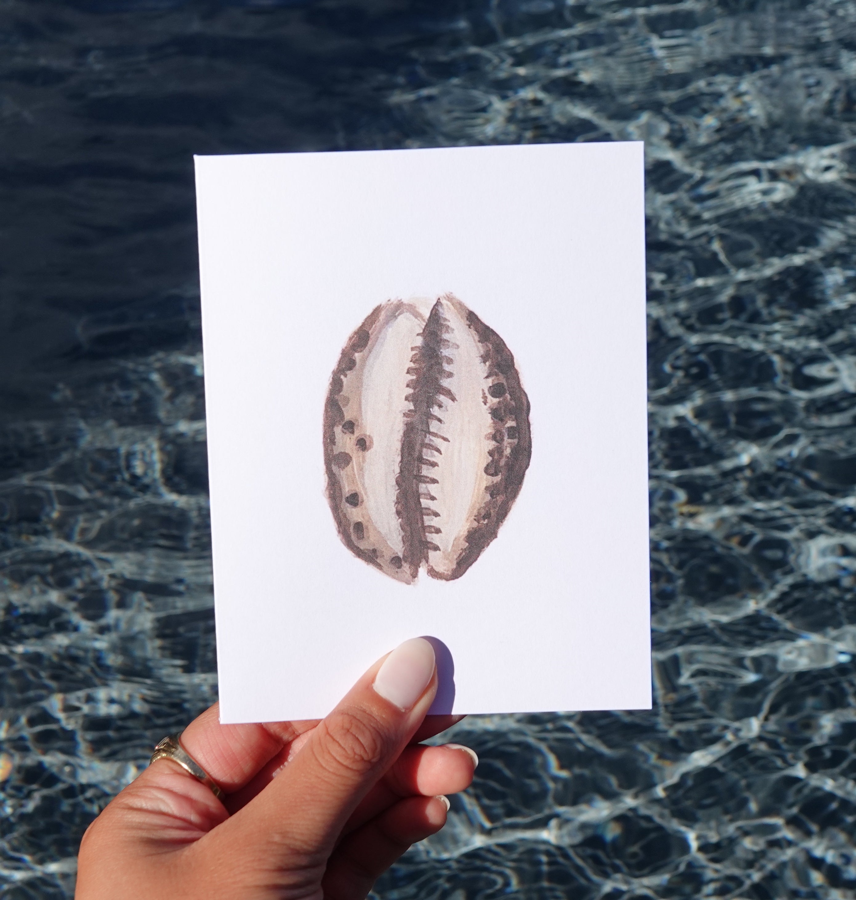 Cowrie Cards